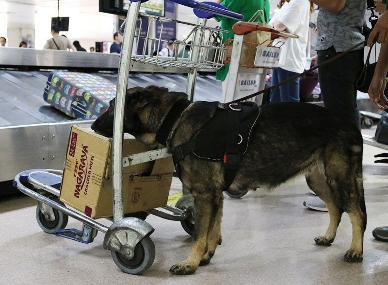 PDEA gets 4 more K9 dogs