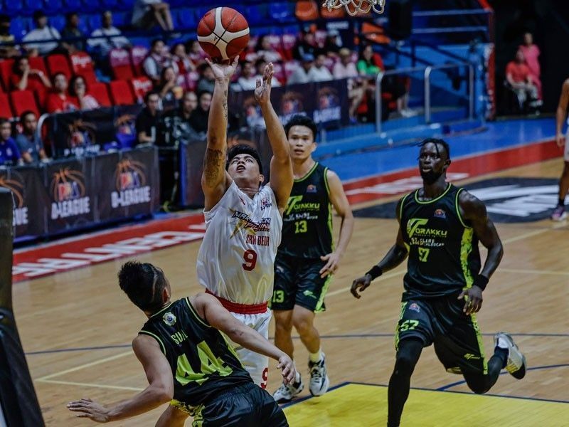 Lions off to rousing D-League start