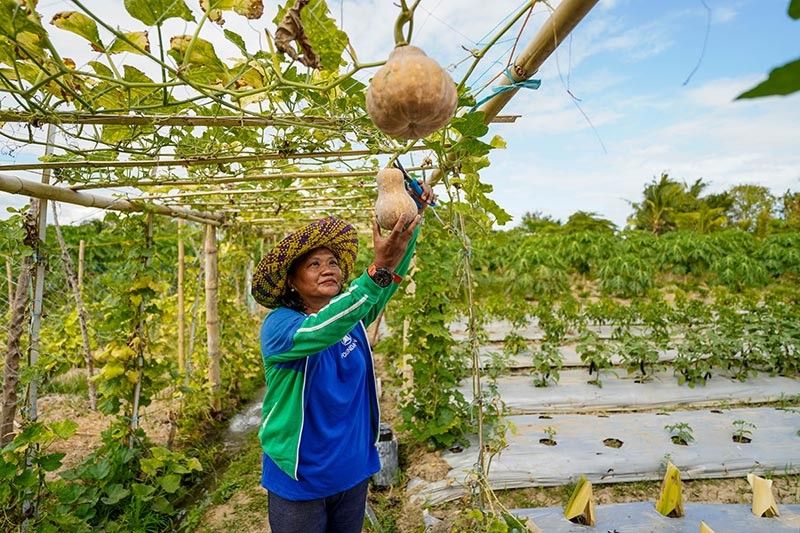 Sakahan ng Iloilo farmer, sumibol sa tulong ng SM Foundation