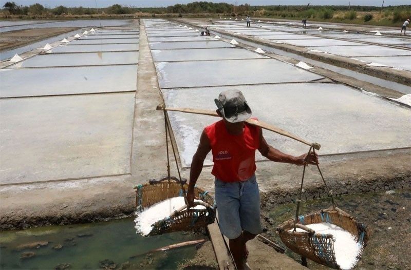 Marcos signs law to boost Philippinesâ�� salt industry