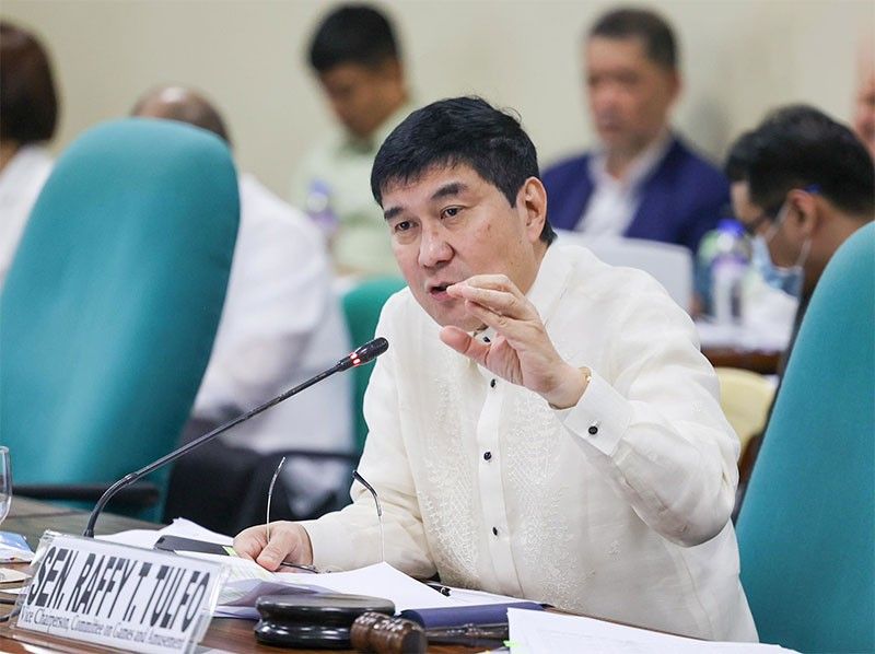 Resorts also found in protected areas of Apo â�� Tulfo