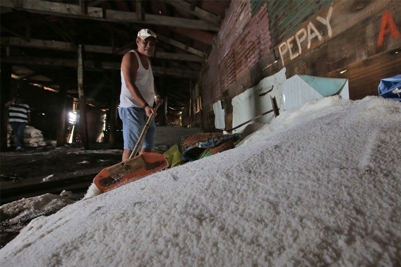 Salt imports decline as local output improves