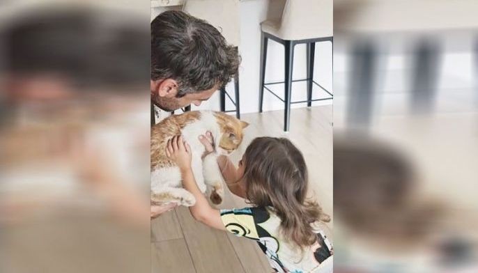 Alagang pusa ng pamilya Bolzico, nakabalik pagkatapos ng isang buwan