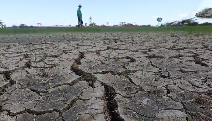 Council wants El Ni&ntilde;o preparations revisited