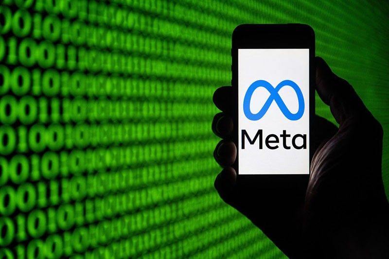 Meta shouldn't force users to pay for data protection â�� EU watchdog