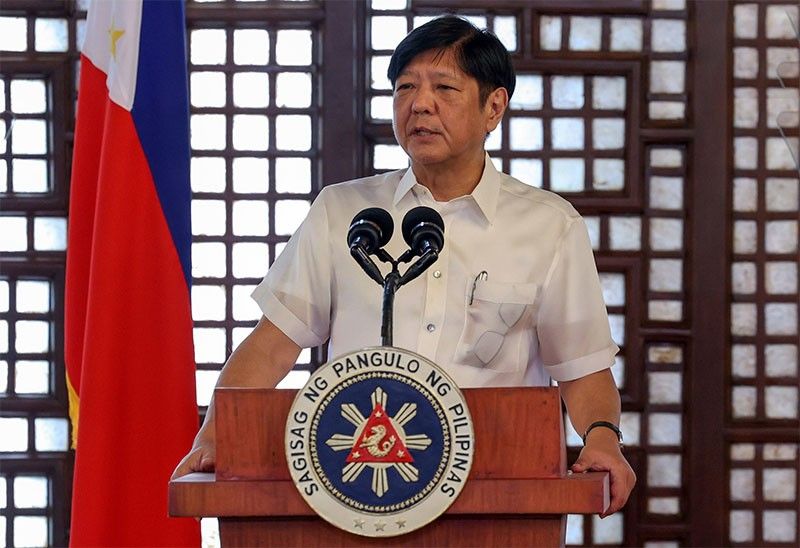 Davao del Norte govâ��s suspension followed due process â�� Marcos
