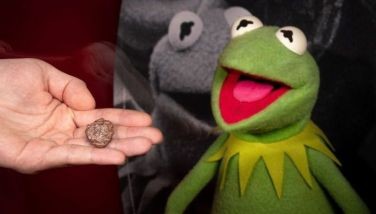 Kermit the Fossil: Muppet inspires ancient amphibian species