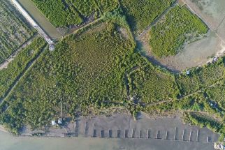 Located in Barangay Gua-an and Nabitasan, the Leganes Integrated Katunggan Ecopark (LIKE) in Iloilo is a showcase of the successful reversion of a 15-hectare abandoned fishpond into a vibrant mangrove forest.