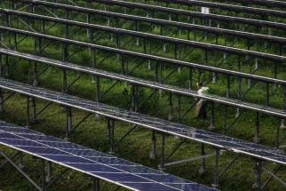 A maintenance worker cuts grass next to solar panels at a solar energy farm owned and operated by Valenzuela Solar Energy Inc in Valenzuela, suburban Manila on May 28, 2022.