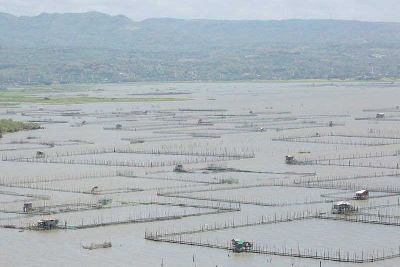 Floating solar project to affect over 800 fishers in Laguna de Bay â�� group