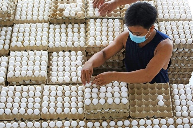 Egg farmers nagbabala: Matinding init ng panahon 'nakakaliit ng itlog'