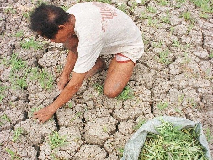 Marcos promises aid to El NiÃ±o-hit areas