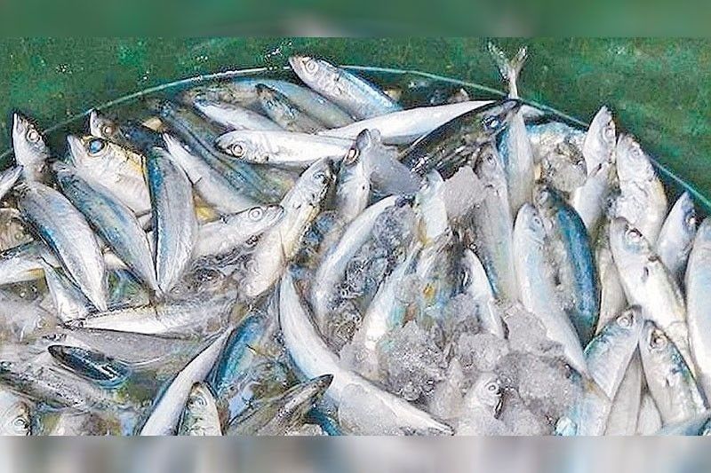 DA: Philippines to import 25,000 MT fish