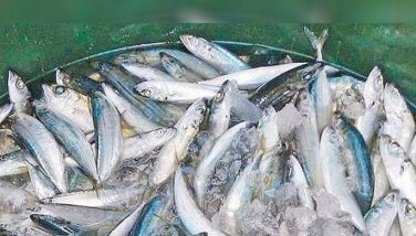 Agriculture Secretary Francisco Tiu-Laurel Jr. signed Memorandum Order 17, which provided the guidelines for the issuance of certificate of necessity to import 25,000 MT of frozen pelagic fish for wet markets from Oct. 1 to Dec. 21, 2024.