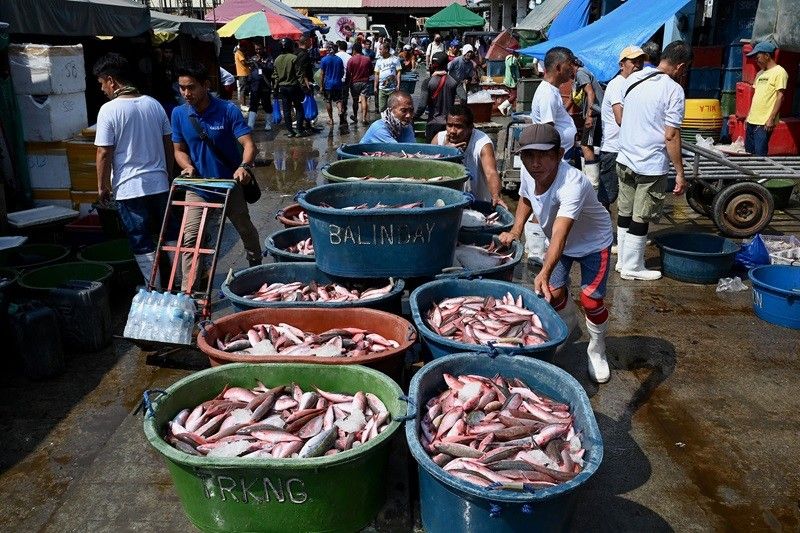 Mangingisda pumalag vs importasyon ng 25,000 MT 'frozen fish'