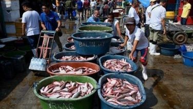 Workers push a cart with buckets of fish at the Navotas Fish Port in Metro Manila on March 17, 2023.