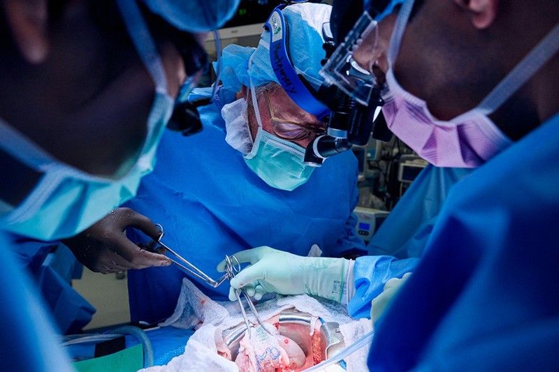 US surgeons transplant pig kidney to live patient for second time