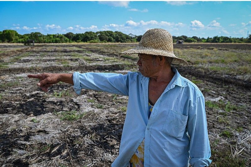 Filipino farmers struggle as drought and heatwave hits