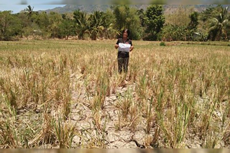 El NiÃ±o: Negros Oriental under state of calamity