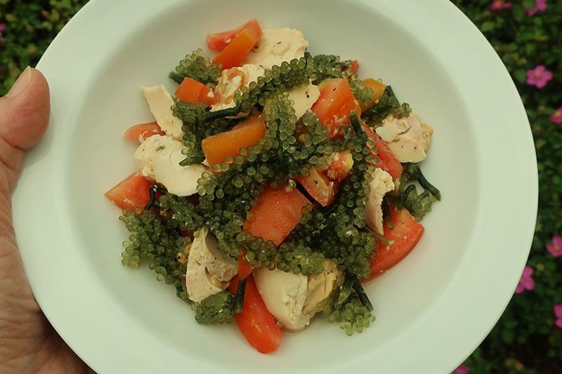Recipe: Fresh Lato Salad