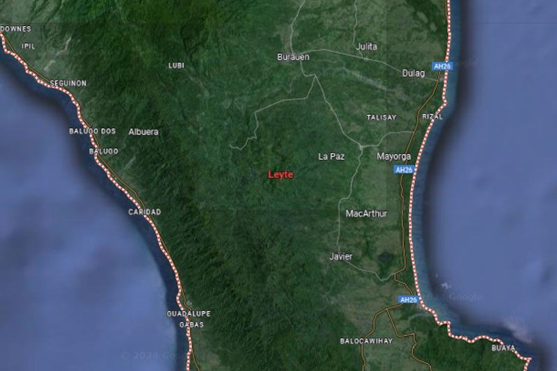 Magnitude 4 quake rocks Leyte area