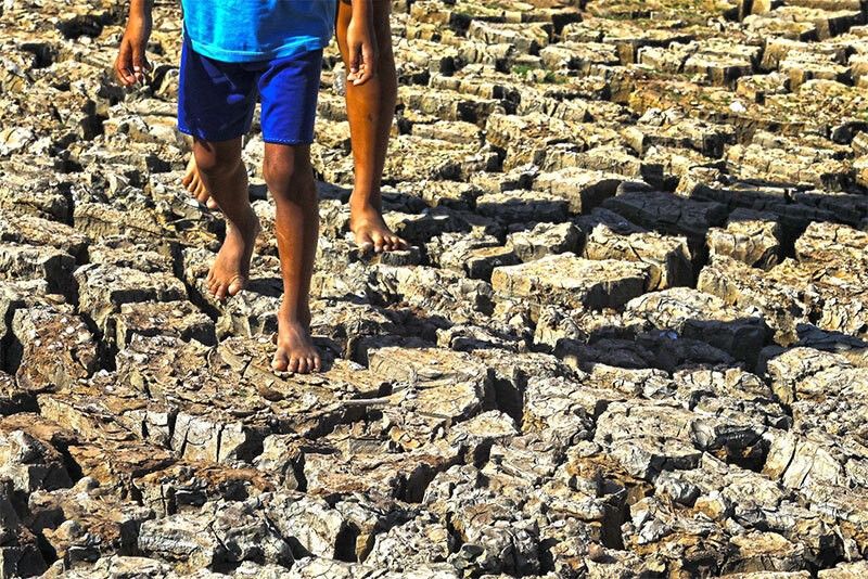 Ex-DA chief: El Niño damage to agriculture underreported