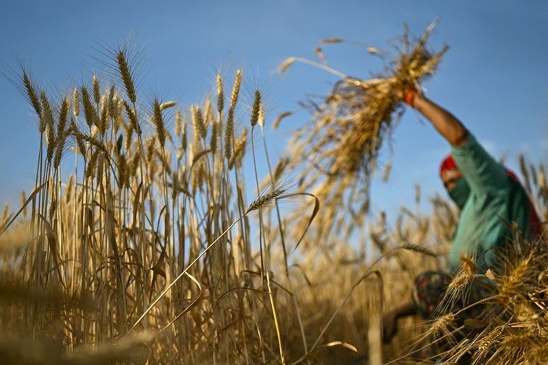 Changing farming practices could cut almost one third of global emissions â World Bank