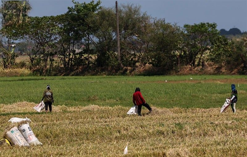 Banks to ramp up lending to agriculture sector