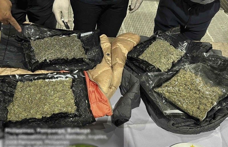 Shipment na idineklarang 'hoodie,' P3.13 milyong halagang marijuana pala