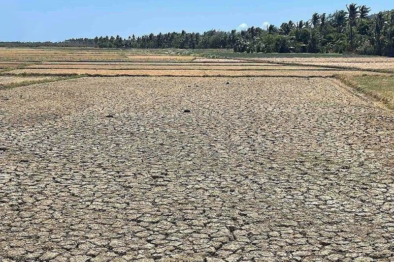 State of calamity in Iloilo due to El NiÃ±o