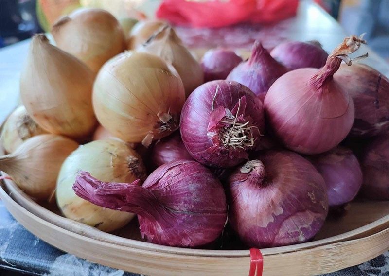 Ban on onion imports extended until July