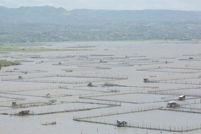 MMDA: Laguna de Bay dredging overdue