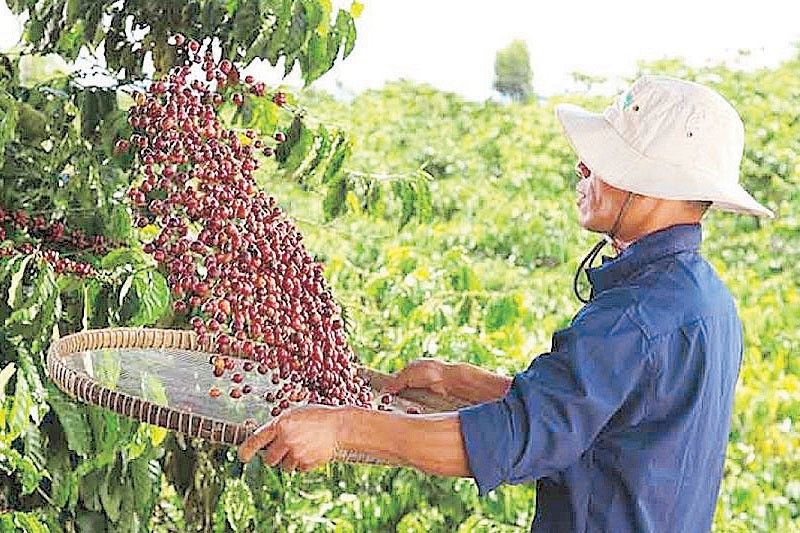 NestlÃ© may hike coffee prices amid rising cost