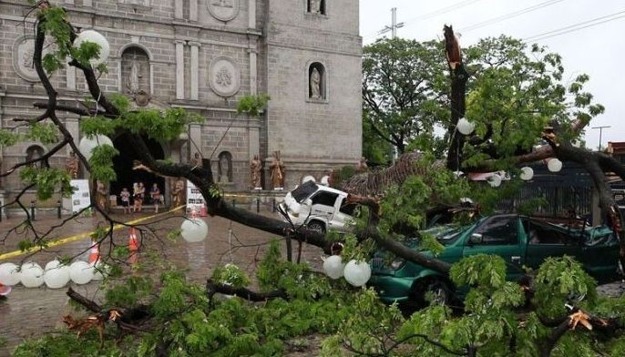 A century-old acacia tree fell on two vehicles parked in front of St. John the Baptist Parish in Taytay, Rizal due to continuous rain and strong winds brought by Severe Tropical Storm Aghon yesterday. 