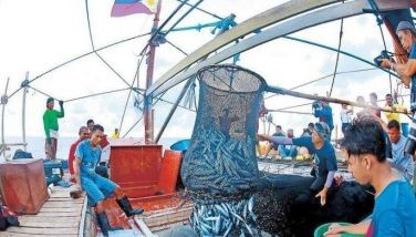 Filipinos show their catch after fishing in Panatag Shoal amid the China Coast Guard&acirc;��s continued aggression in the West Philippine Sea. 