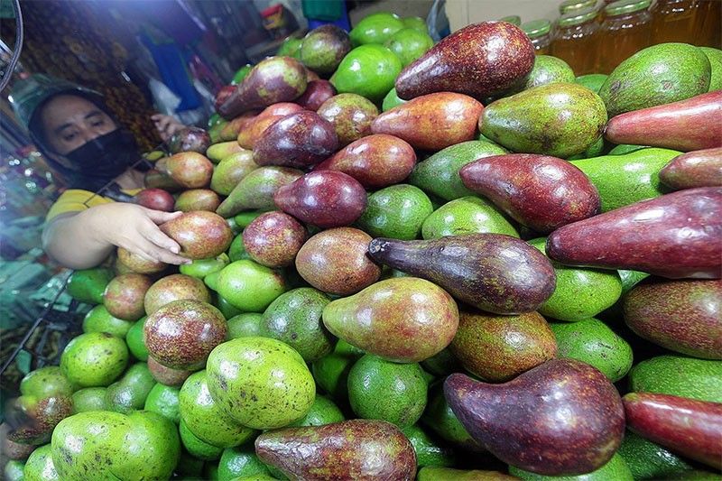 DA appeals to open market in Japan for avocados