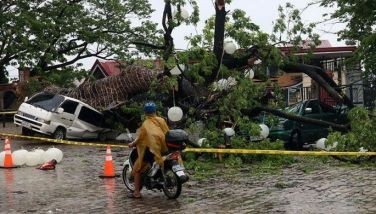 Parishioners look at the massive uprooted tree which fell over two parked vehicles inside the compound of the St. John the Baptist Parish in Taytay, Rizal due to strong winds and continuous rain brought by tropical storm Aghon on May 26, 2024.