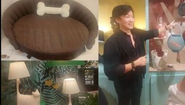 Kenneth Cobonpue designs bed, toys for pets