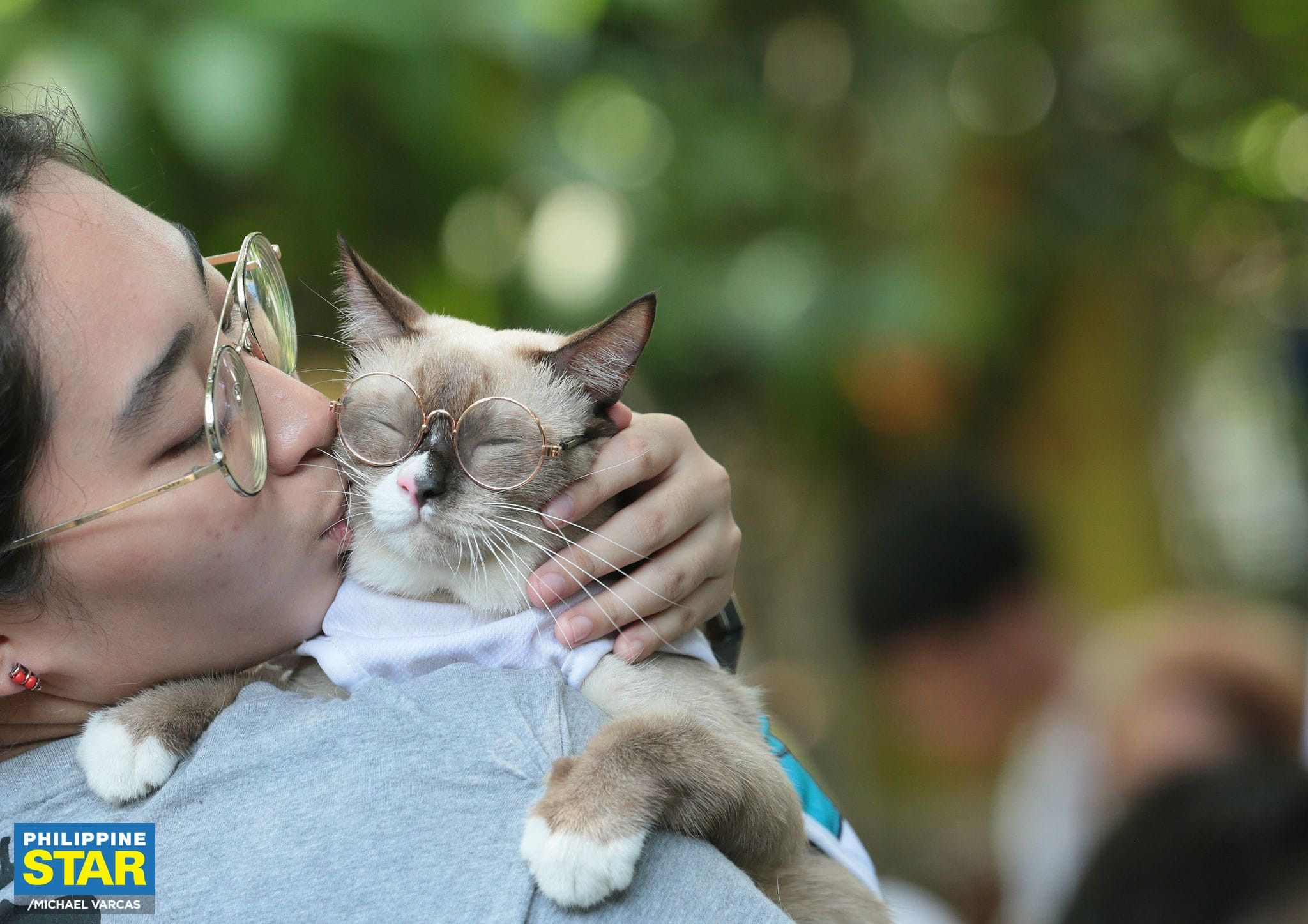 DOH warns against kissing pets, even if vaccinated, as human rabies cases rise