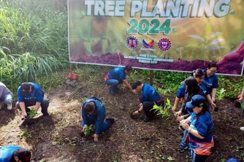 DPWH marks founding anniversary through nationwide tree planting