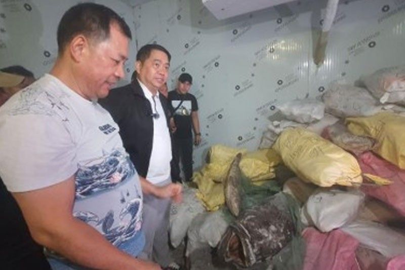 P100 million frozen meat seized in Cavite