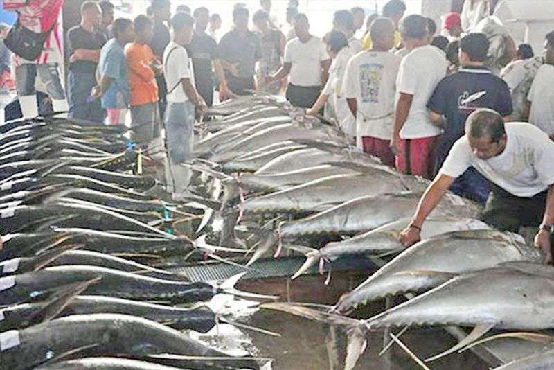 Frabelle boosts fleet for tuna fishing