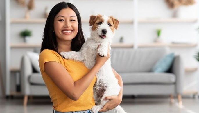 6 tips on how to protect your pets from risks of changing weather