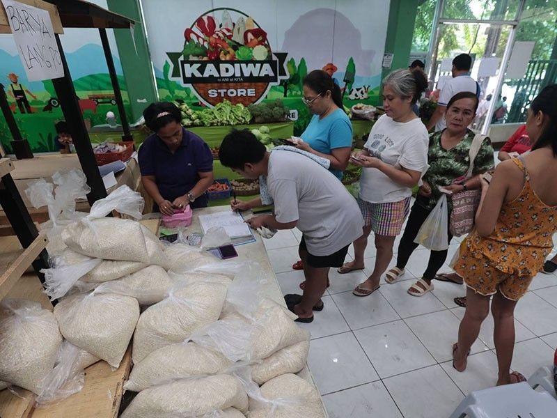 DA: P29/kilo rice not political move