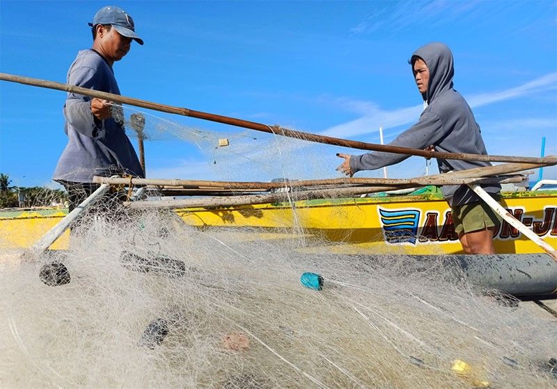 Agriculture-fishery economic contribution still flat | Philstar.com