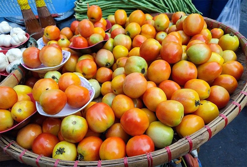 Kamatis nabubulok na sa kamahalan sa Bulacan