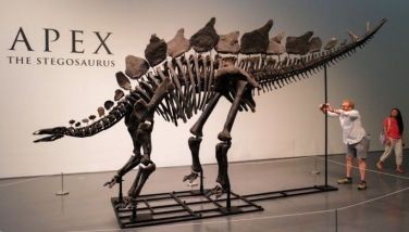 Dinosaur skeleton breaks auction record with P2.6 billion sale in New York