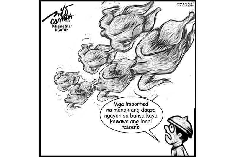 EDITORYAL - Dagsa ang imported na bigas at manok