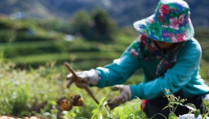 SOS Philippines: Turning food waste into meals, in haste