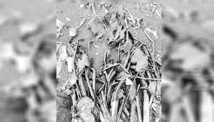 Oil spill ng tanker sa Bataan, umabot na sa Cavite